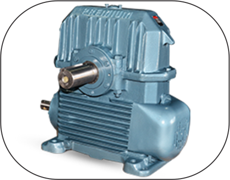 Heavy Duty Worm Gear Box