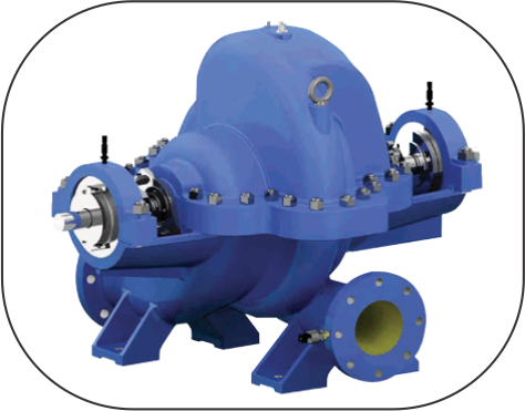 Split Case Pump - DSM/DSMT