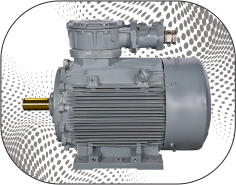 BBL Flameproof IE2, IE3 Motor