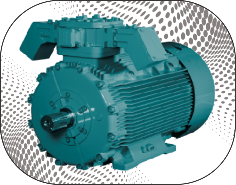 CG Flameproof IE2, IE3 Motor